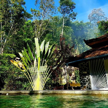 Mi Casa - The Gem Of Ijen Hotell Banyuwangi  Exteriör bild