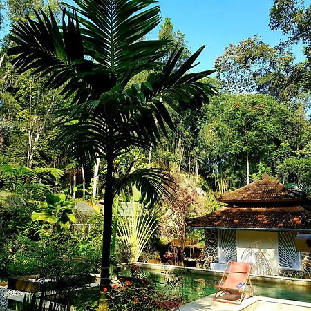 Mi Casa - The Gem Of Ijen Hotell Banyuwangi  Exteriör bild