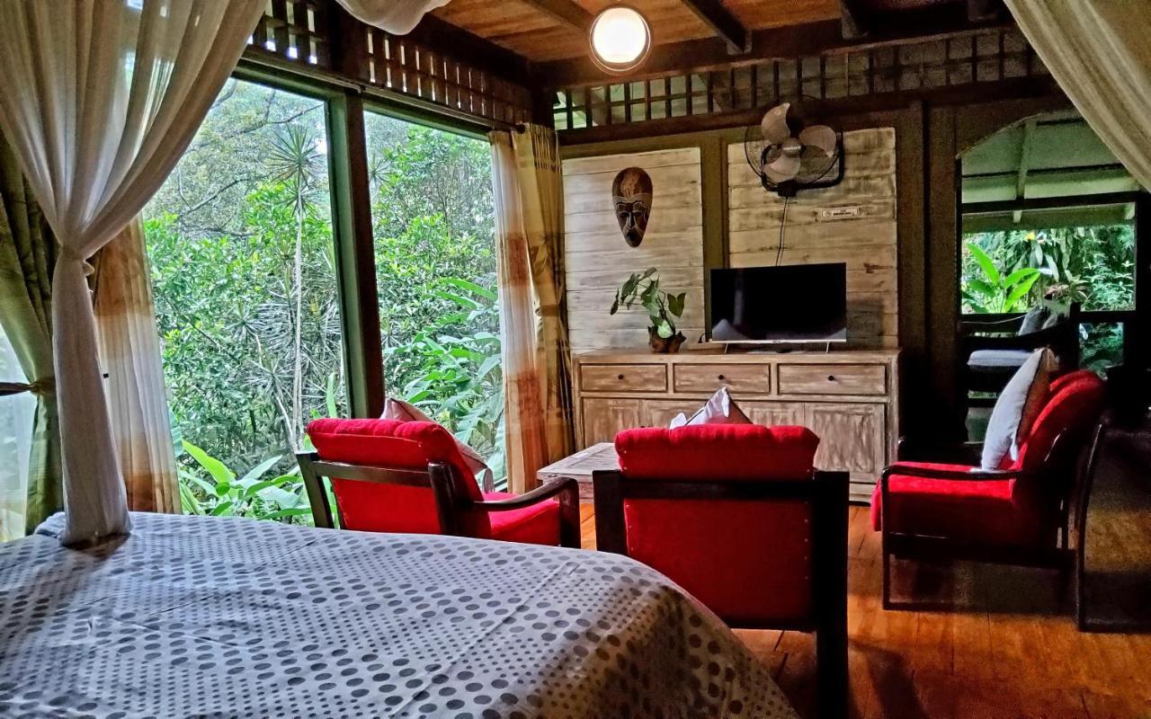 Mi Casa - The Gem Of Ijen Hotell Banyuwangi  Exteriör bild