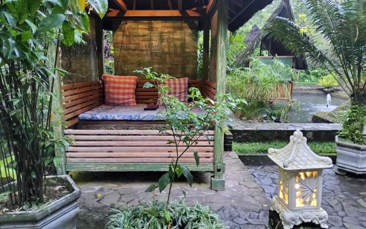 Mi Casa - The Gem Of Ijen Hotell Banyuwangi  Exteriör bild