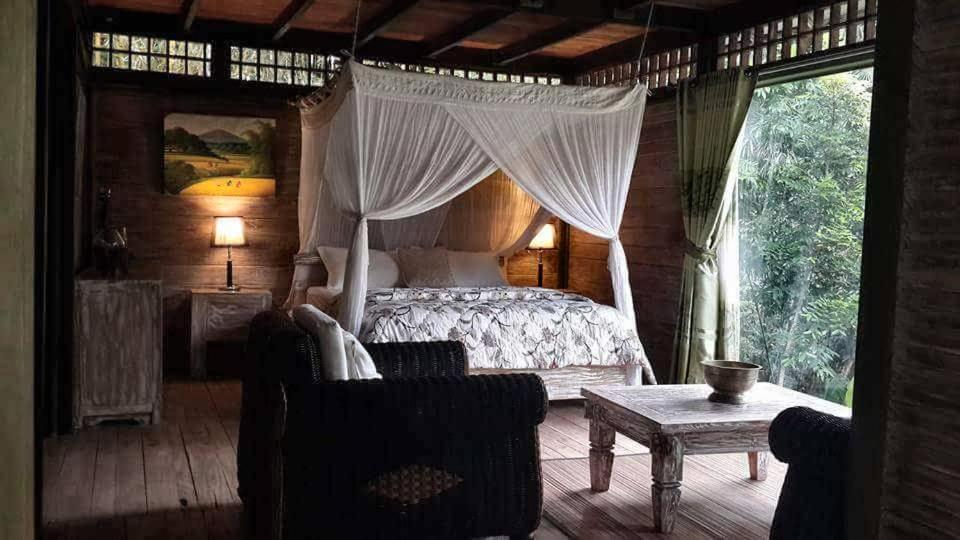 Mi Casa - The Gem Of Ijen Hotell Banyuwangi  Exteriör bild