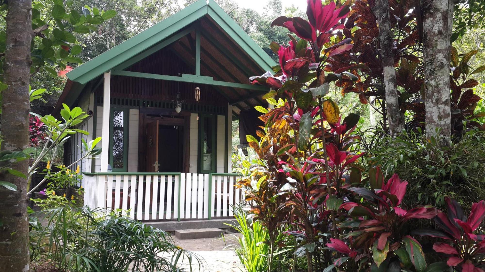 Mi Casa - The Gem Of Ijen Hotell Banyuwangi  Exteriör bild