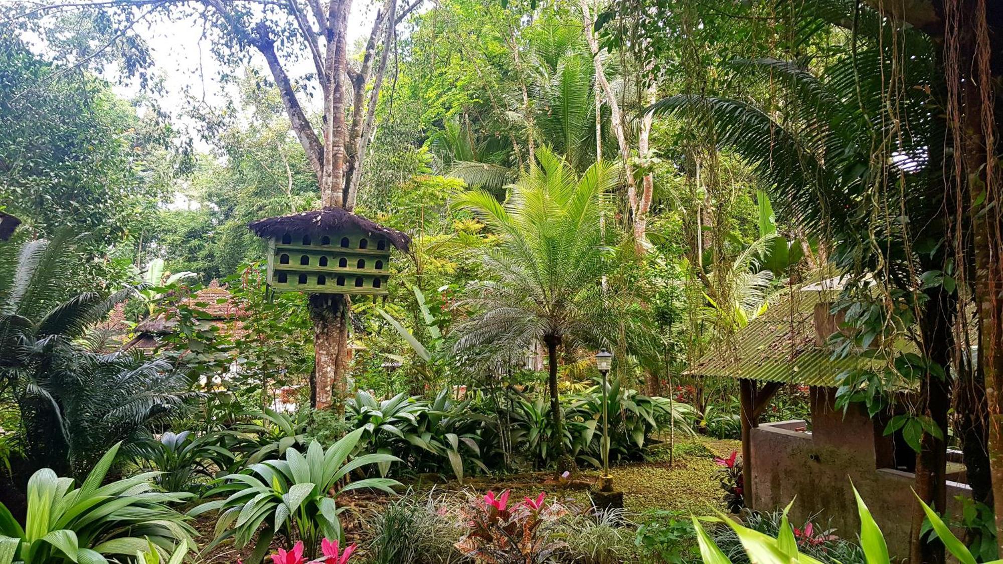 Mi Casa - The Gem Of Ijen Hotell Banyuwangi  Exteriör bild