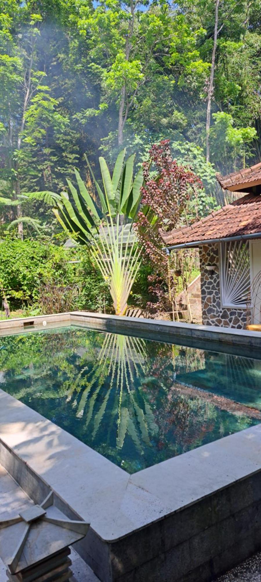 Mi Casa - The Gem Of Ijen Hotell Banyuwangi  Exteriör bild