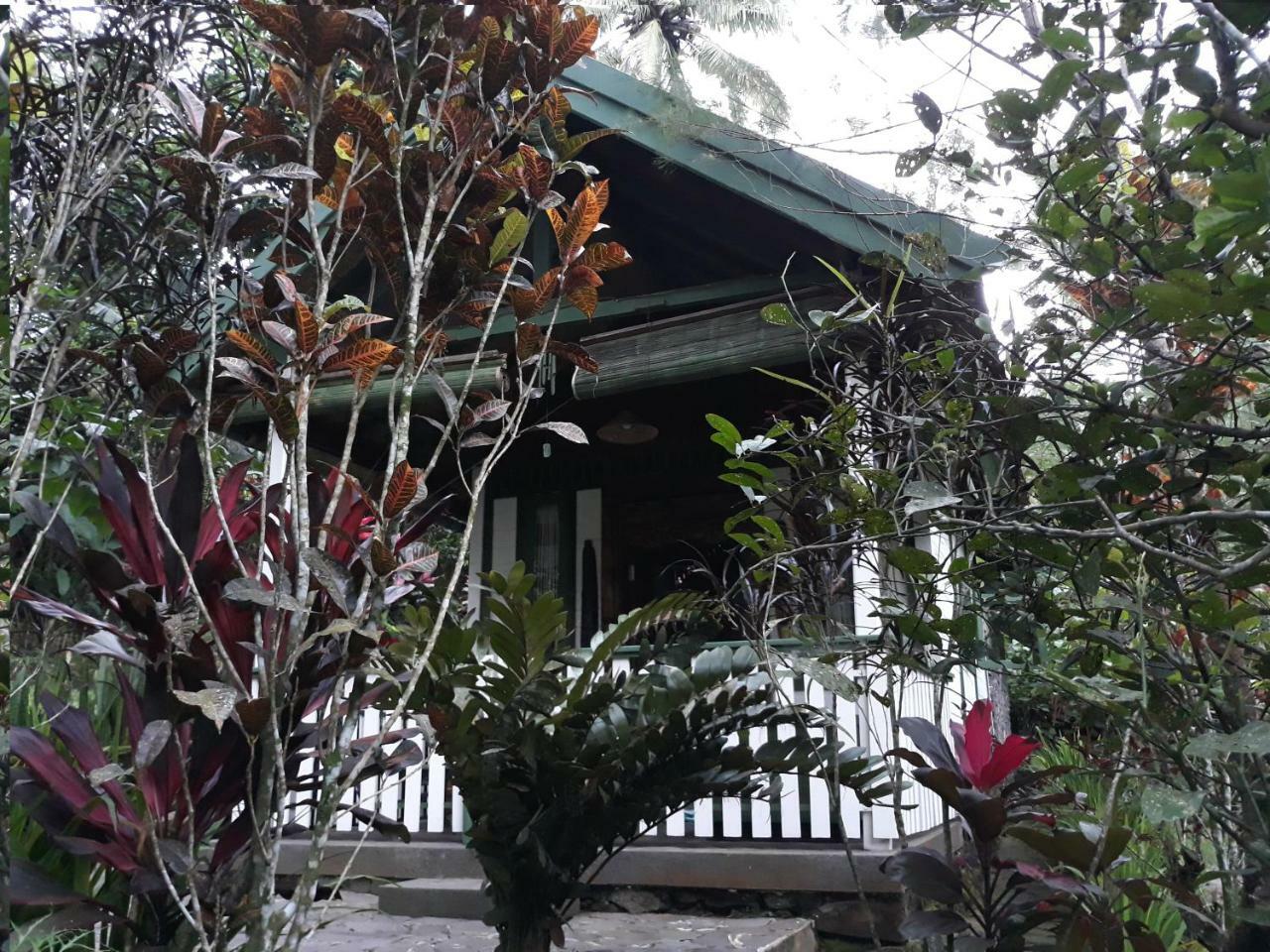 Mi Casa - The Gem Of Ijen Hotell Banyuwangi  Exteriör bild